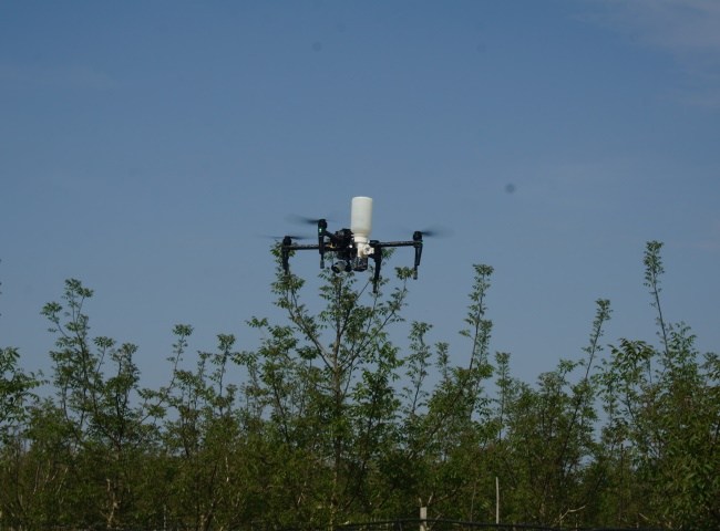 POWDER DISTRIBUTION FOR PRECISION FARMING