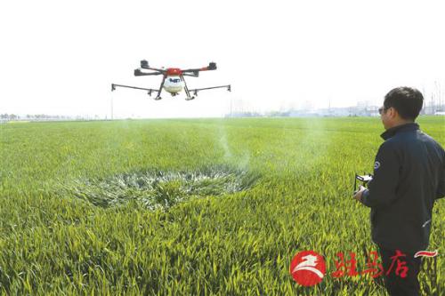 无人机进行麦田管理