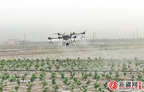 现代科技描绘新疆“智慧春耕图”