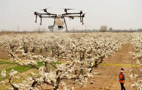 13个新职业官宣！玩电竞、开无人机的都是有“身份”的人了