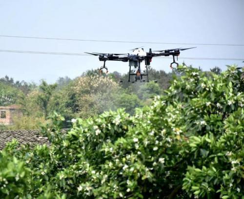 大进展！赣南脐橙有望实现无人机喷药！