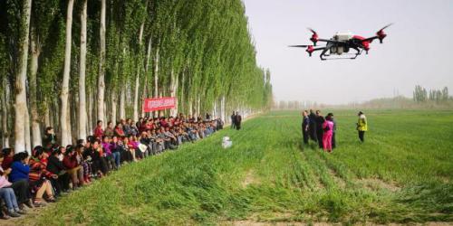阿克苏地区新和县：渭干乡首次采用无人机进行小麦化除