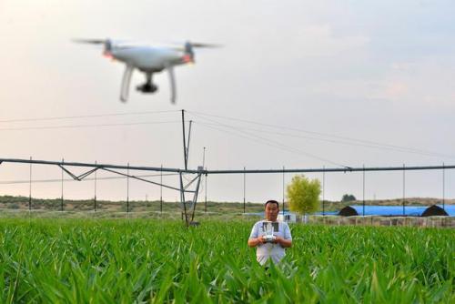 大数据？物联网？北斗卫星系统应用在牧业领域，大疆却得利！ 