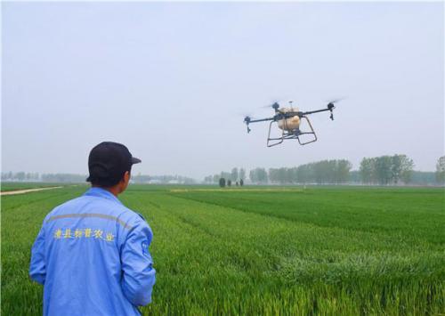 麦田里飞来100架无人机 延津农民跟“农药壶”说拜拜