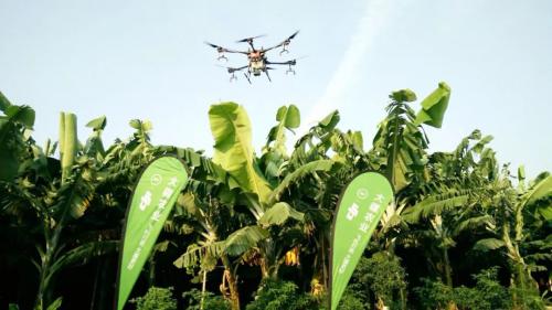 作业案例丨有了T16 ，香蕉病虫害防治也能自主作业