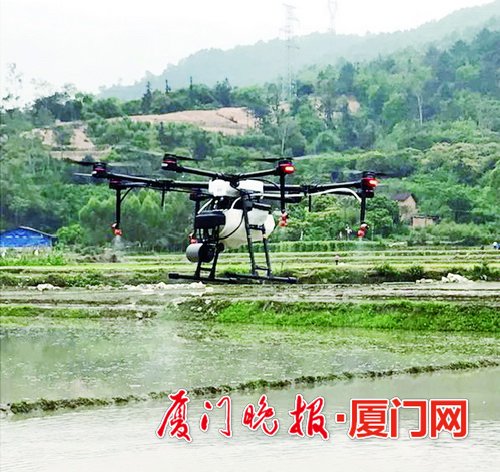 春耕好时节 “无人机”+新型自动化机械现身田间