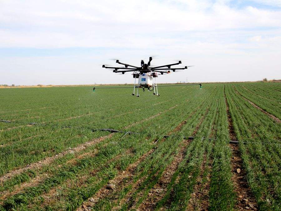 蒙城县无人机“飞防”推广促农业产业提质增效