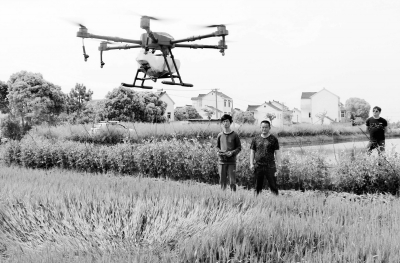 无人机施药治虫效率高