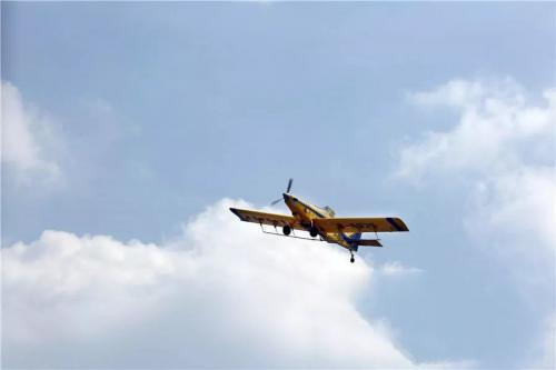 Coco都可的产品为什么厉害？这个茶园说出了部分秘密 