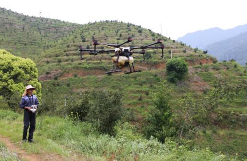 一架顶30个人!来看遂昌无人机春耕