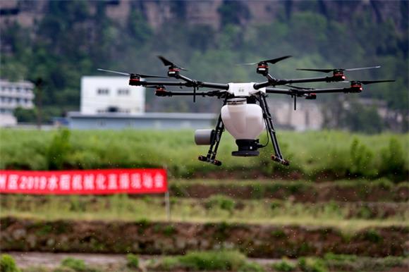 万州首次推广无人机播种水稻 极大简化作业工序