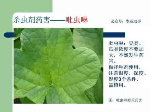 新疆凯兰无人机分享最全植保无人机农药、药害（图文详解） 