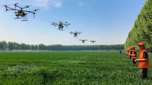 全军出机丨大疆飞防军助力河南百万亩小麦统防统治