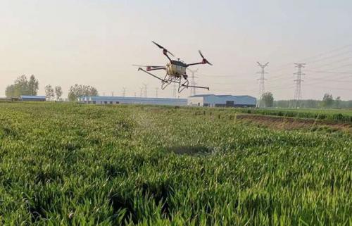 天鹰兄弟植保无人机打响安徽阜阳小麦“一喷三防”攻坚战