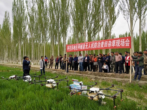 村里来了无人机 麦田化除棒棒哒！ 