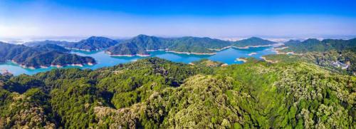 震撼！无人机飞进河源万绿湖，发现丛林中藏着巨大的米色霞衣！