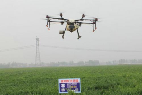 打工不回家也能多打粮？嗯对，金帝博增产药＋无人机！