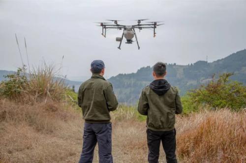 无人机精准飞播！龙泉山城市森林公园生态恢复用上高科技