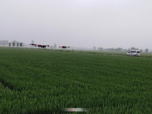 新时代农民化身田间飞客植保无人机助力小麦一喷三防