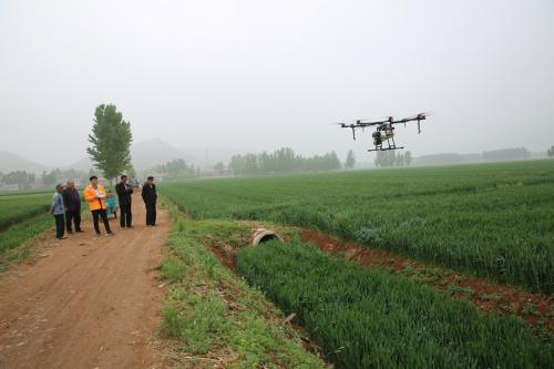 啥叫现代农业？20多架无人机一起撒农药 场面壮观