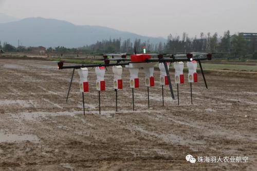 珠海羽人水稻精量直播无人机 春耕水稻长势良好