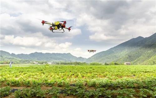 科技扶贫丨丰都首次大面积使用植保无人机开展统防统治工作！
