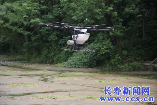 好洋气！无人机直播水稻，五分钟就搞定一亩地