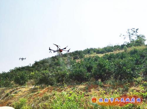西二镇开展无人机植保培训助推柑桔产业发展