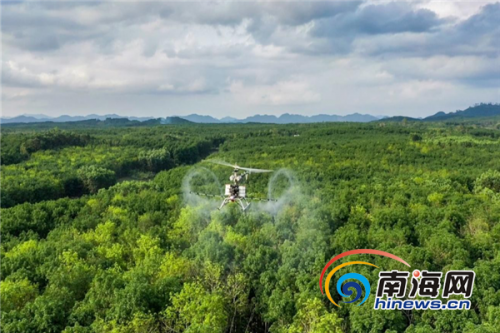 中国热科院、海胶集团防治橡胶树病害出新招：Plus版无人机载药喷洒