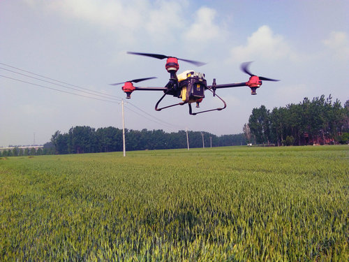 河南内乡：无人机喷洒农药防治小麦赤锈病受欢迎