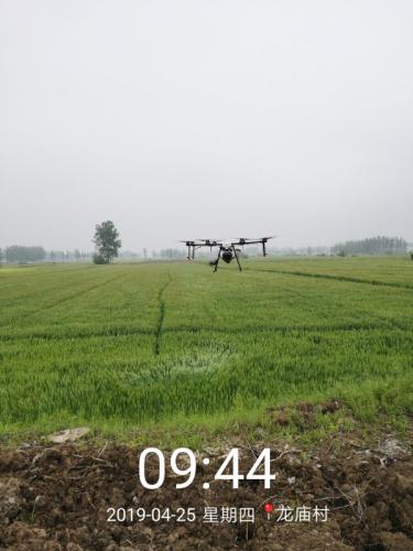 直升机、无人机，机防队…看息县防控小麦赤霉病“空陆”全覆盖