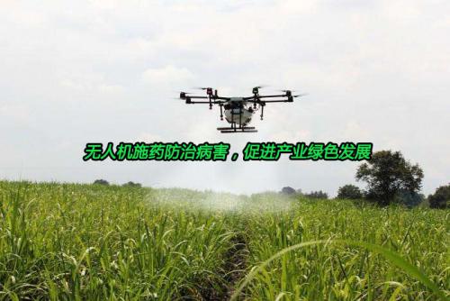 无人机施药防治病害，促进产业绿色发展