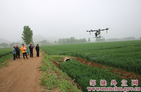 石墙镇20多架无人机一起撒农药防虫治病