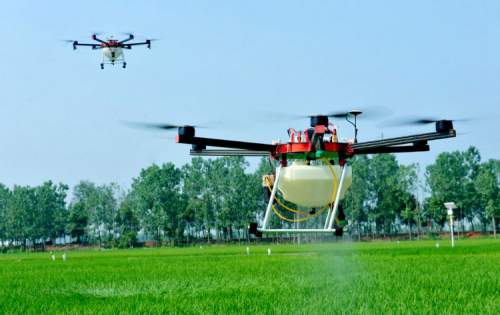 AI加无人机加卫星 NTT智能农业实验以增产30%为目标