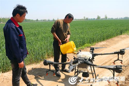 惠民县姜楼镇70余架无人机将完成30000余亩小麦飞防工作