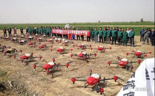【热点】安国这个村的农田上几十架无人机齐飞，在干什么？