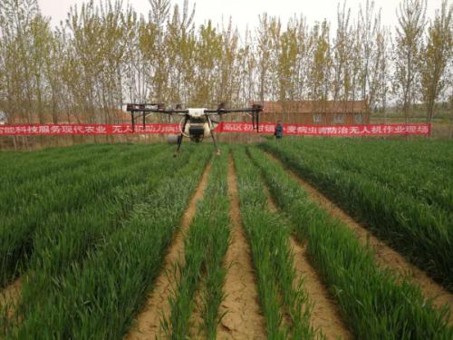 威海市初村镇首次使用无人机喷洒农药