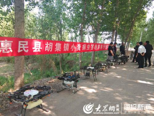 胡集镇出动50余架无人机开展小麦病虫害飞防作业