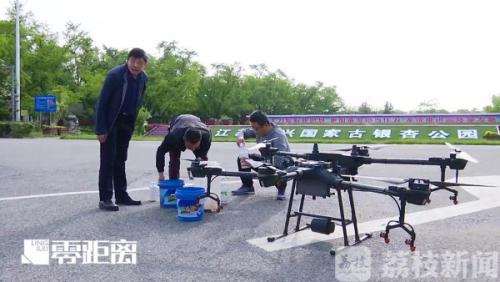 泰兴无人机上阵 空投生物“弹药”治银杏害虫天敌