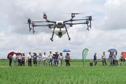 今年春耕，阳江首试水稻无人机播种技术！ 