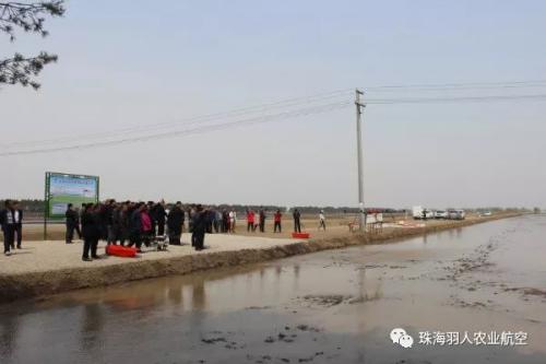 珠海羽人在建三江做水稻精量直播无人机作业试验示范