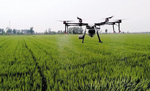 淮安市淮安区利用植保无人机对小麦喷药作业