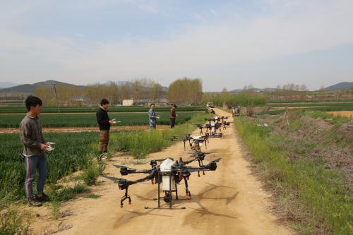 科技助力农业！初村镇使用无人机喷洒农药
