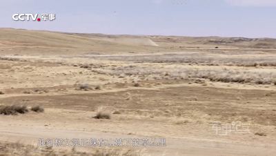 为了参加“战狼日” 这个新兵居然这样“躲避”无人机搜索！