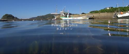 水天一色新视角 小海豚直击日本横滨