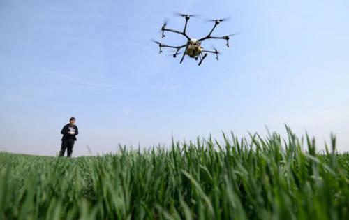 农村植保无人机驾驶员月入10万！附：考取驾驶证技巧~