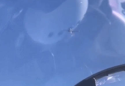 空中肉搏！俄罗斯战机近距离拦截美国无人机