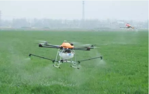 天上无人机 地下传感器 瑞安农民智慧种稻