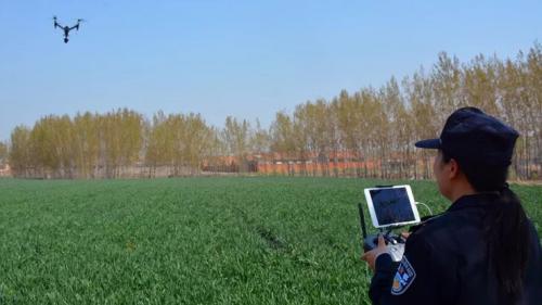 无人机飞起来 让藏在深处的罂粟无处遁形