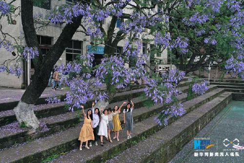蓝花楹下的毕业照 无人机视角下更漂亮